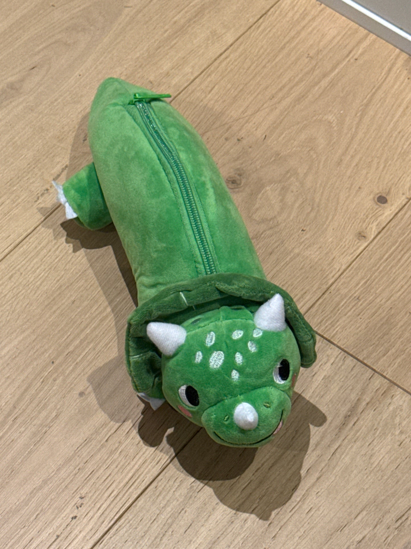 Dinosaur pencil case