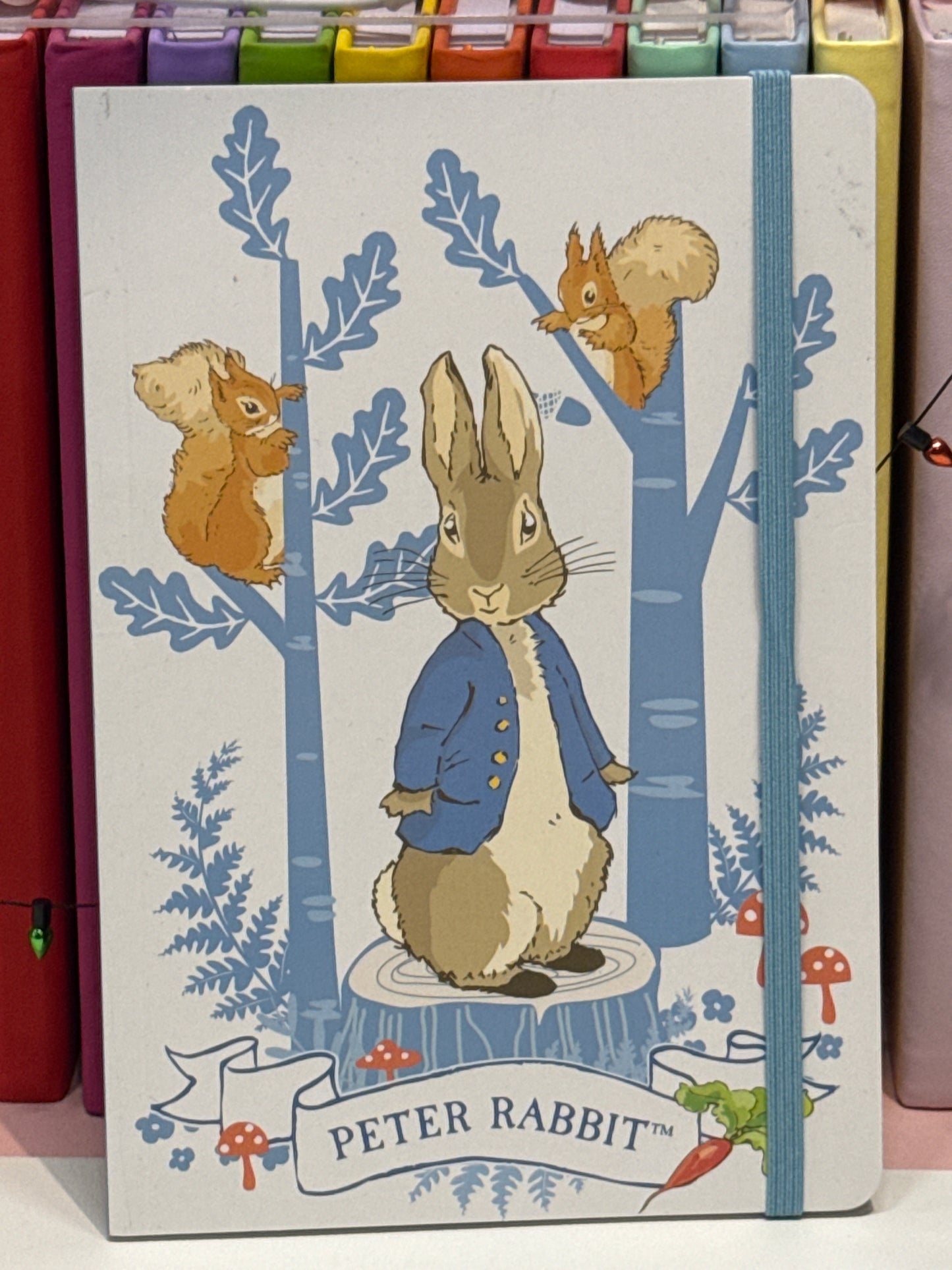 Peter Rabbit notebook