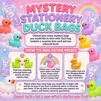 Mystery Lucky Colour stationery bags