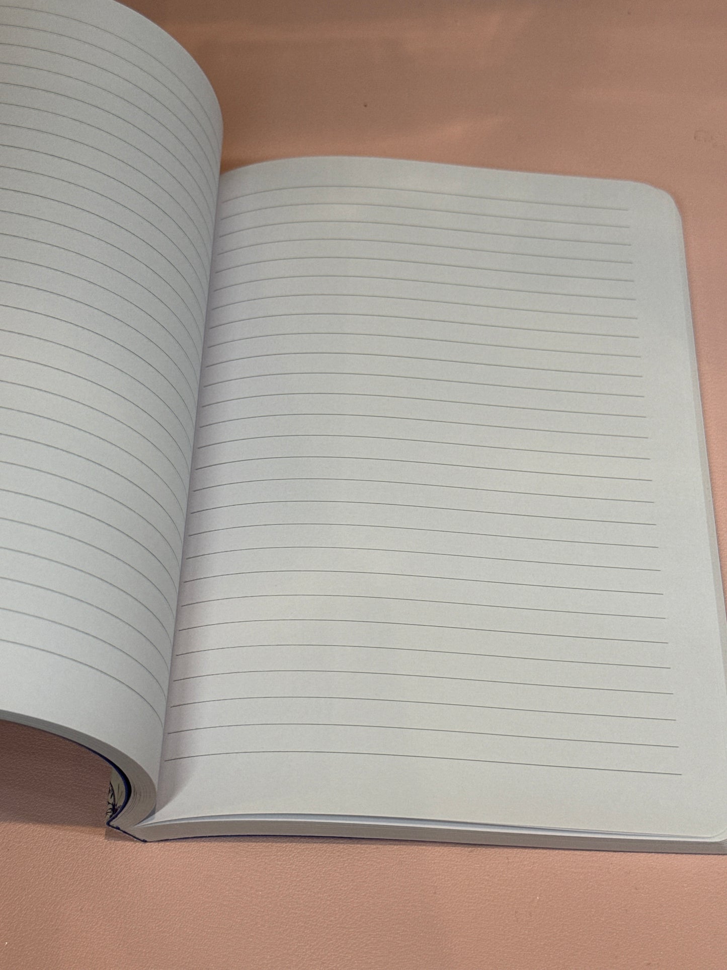 Intempo Butterfly Notebook