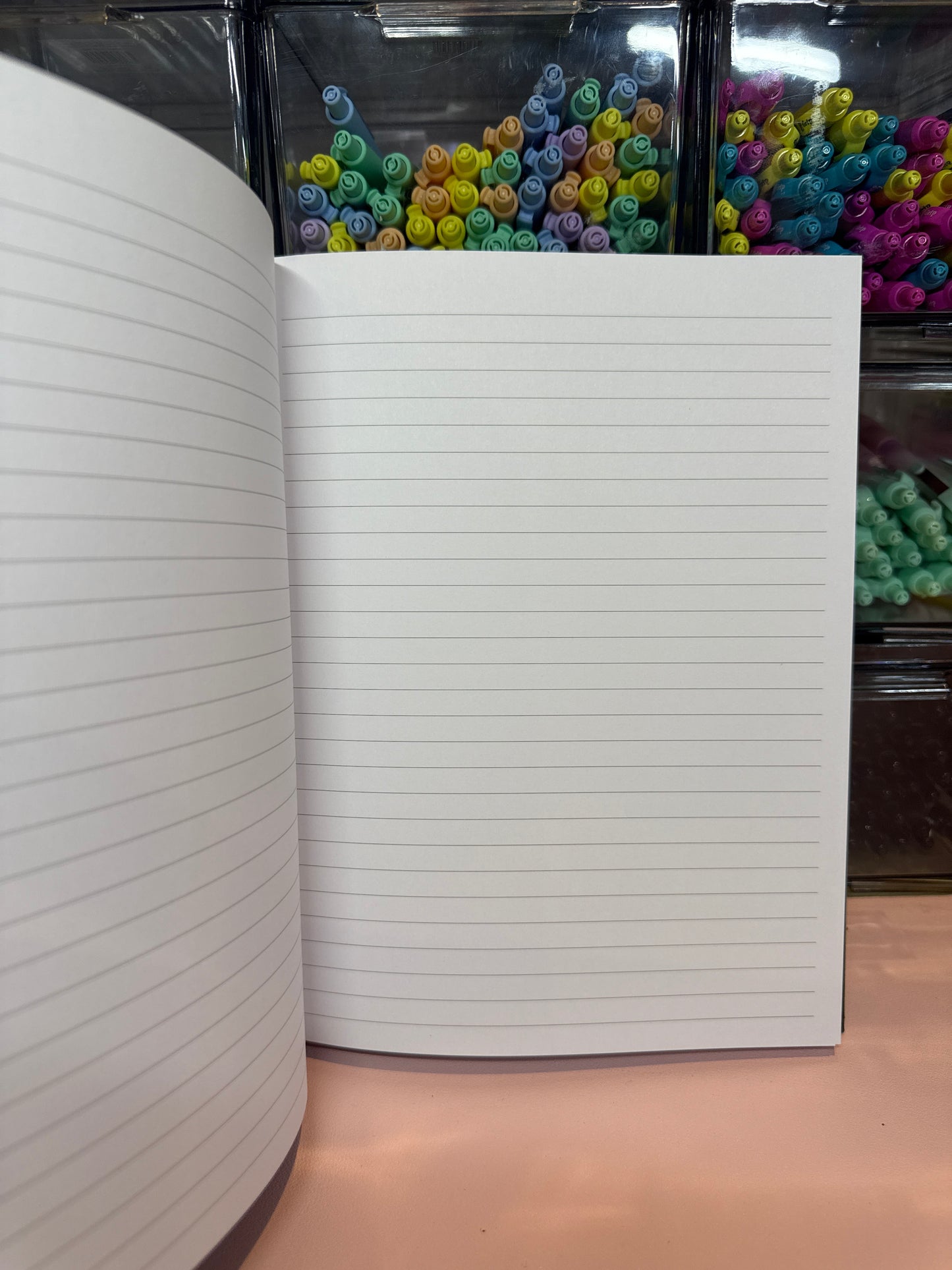 Moon and Sun notebook