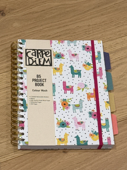 Carpe Diem llama project book