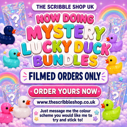 Mystery Lucky Colour stationery bags